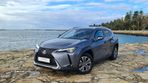 Lexus UX 300e Luxury - 1