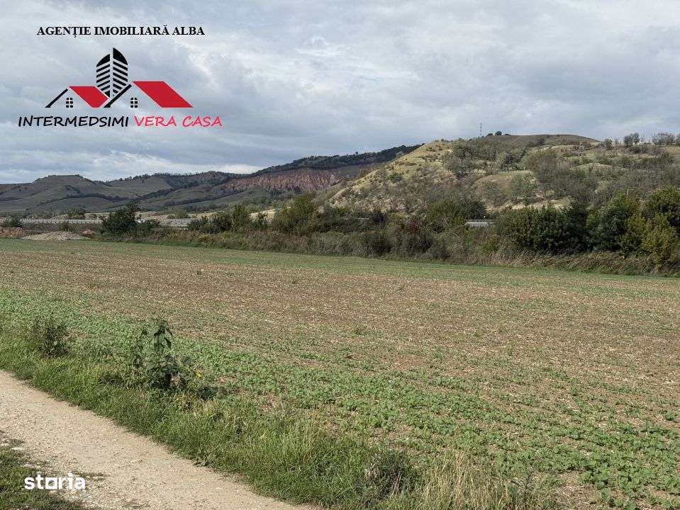 Teren extravilan 7400 mp de vanzare la iesire din  Sebes spre Daia-3