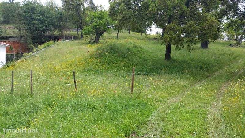 Terreno rustico 4ha com PDM para construção - Grande imagem: 4/9