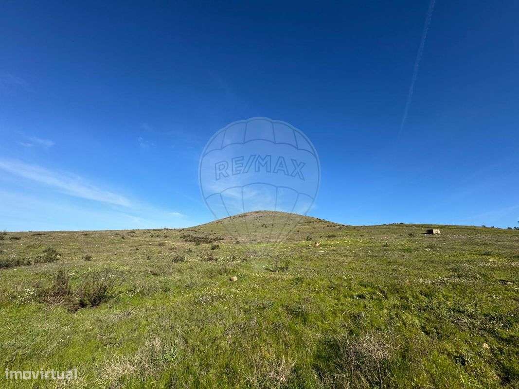 Quinta T7 para venda - Grande imagem: 5/48