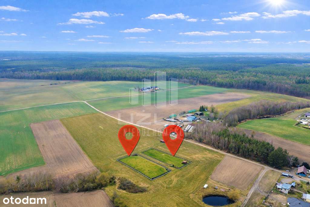 Borzechowo | WZ | pełne zagospodarowanie terenu - Pełny obrazek: 5/16