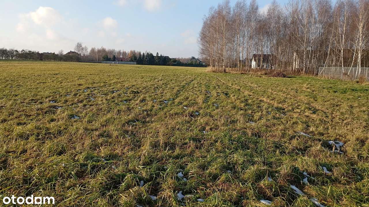 Działka, która pozwala projektować przestrzeń na własnych warunkach - Pełny obrazek: 5/5