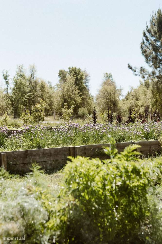 Apartamento T1 no Craveiral Farmhouse, São Teotónio, Odemira - Grande imagem: 5/87