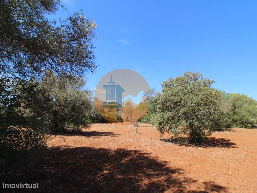 Terreno Rústico - Grande imagem: 3/23