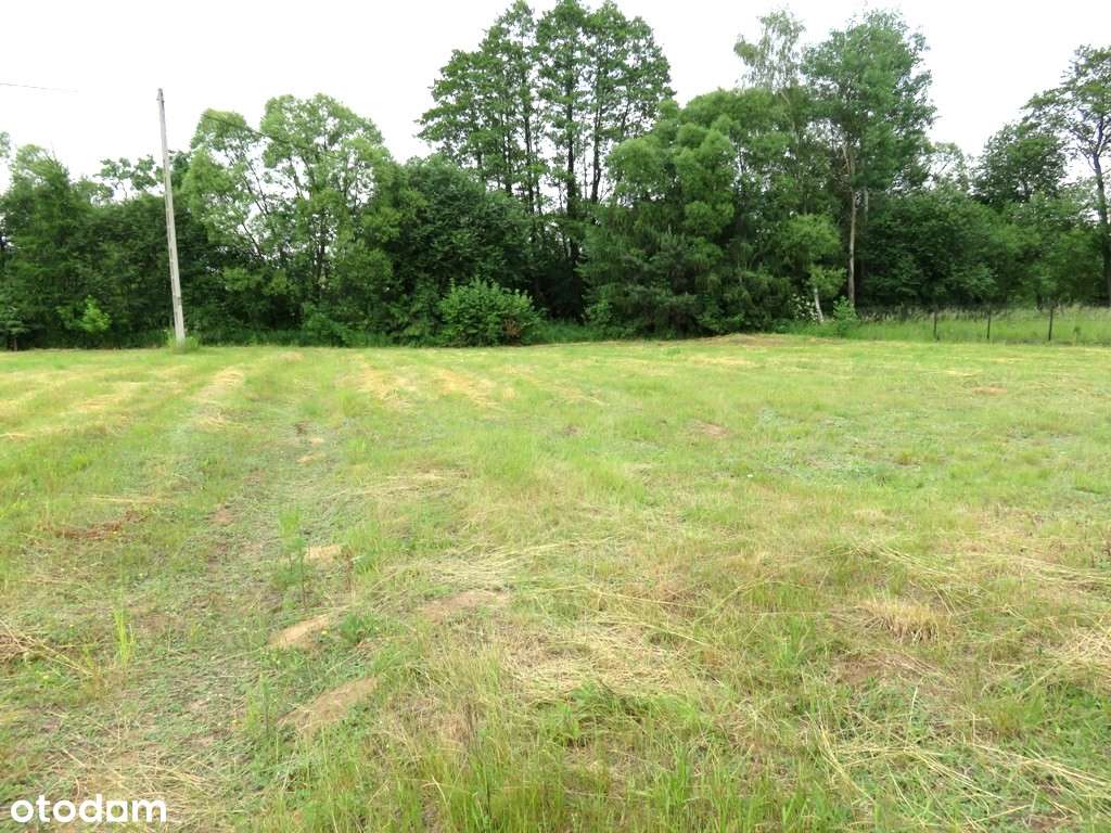 Działka Budowlano-usługowo-handlowa 31 ar, przy drodze DK 94 na Tarnów - Pełny obrazek: 4/7