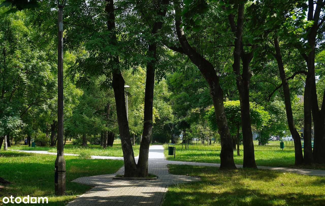 2 niezależne pokoje, jasna kuchnia, balkon, c.w.u. MPEC, tramwaj-17