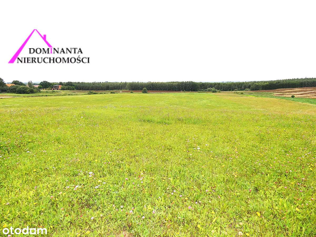 Działki rolne blisko lasu na Mazurach, 10 ha.-4