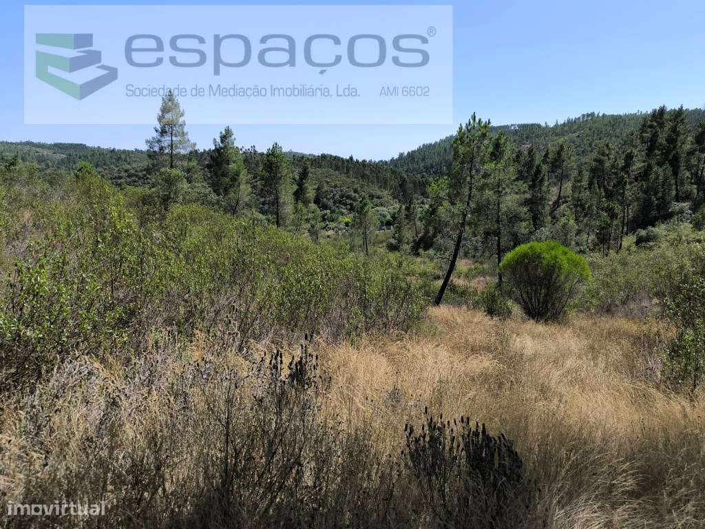 Terreno próximo do rio - Grande imagem: 4/7