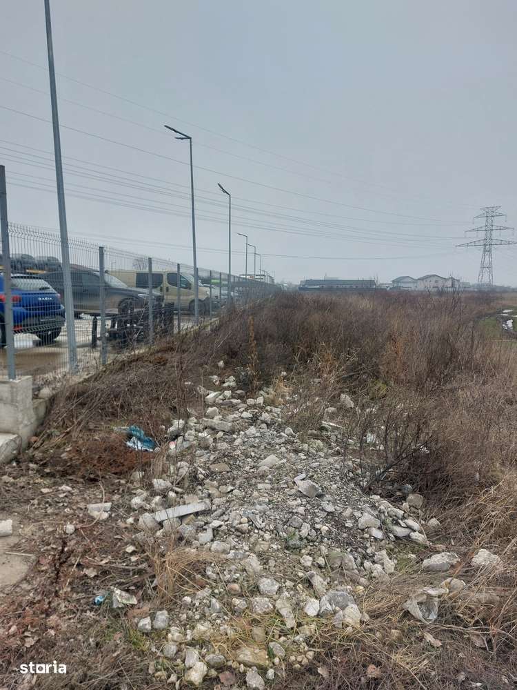 Clinceni - Olteni, Strada Fortului, Stradal-6