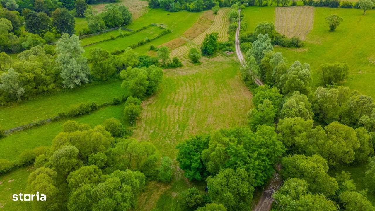 Teren recreational 3411 mp în zonă liniștită/Plata in 3 rate - Imagine principală: 5/7