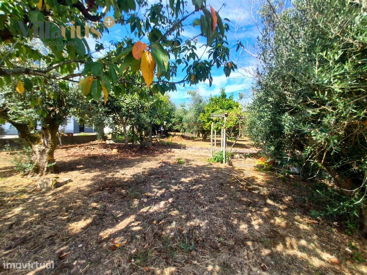 Moradia T3+1 à Venda em Tomar – Espaço e Natureza-47