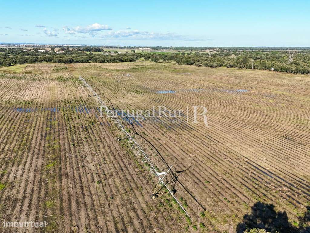 Herdade de 60 hectares para criação bovina e equina perto de Lisboa-9