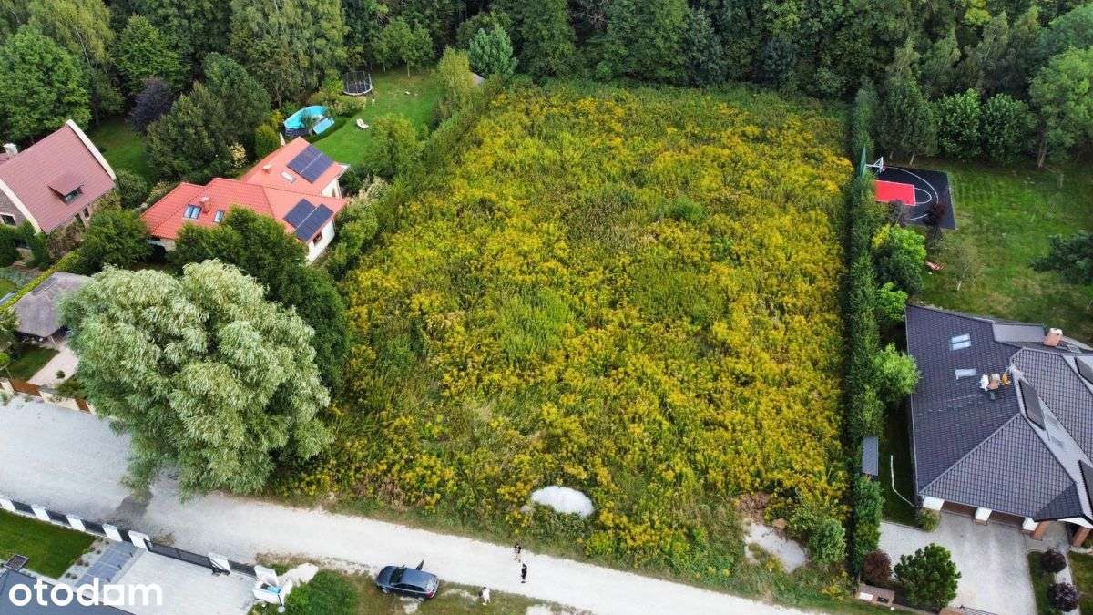 Działka 4441m2 Ligota Piękna - Pełny obrazek: 5/7