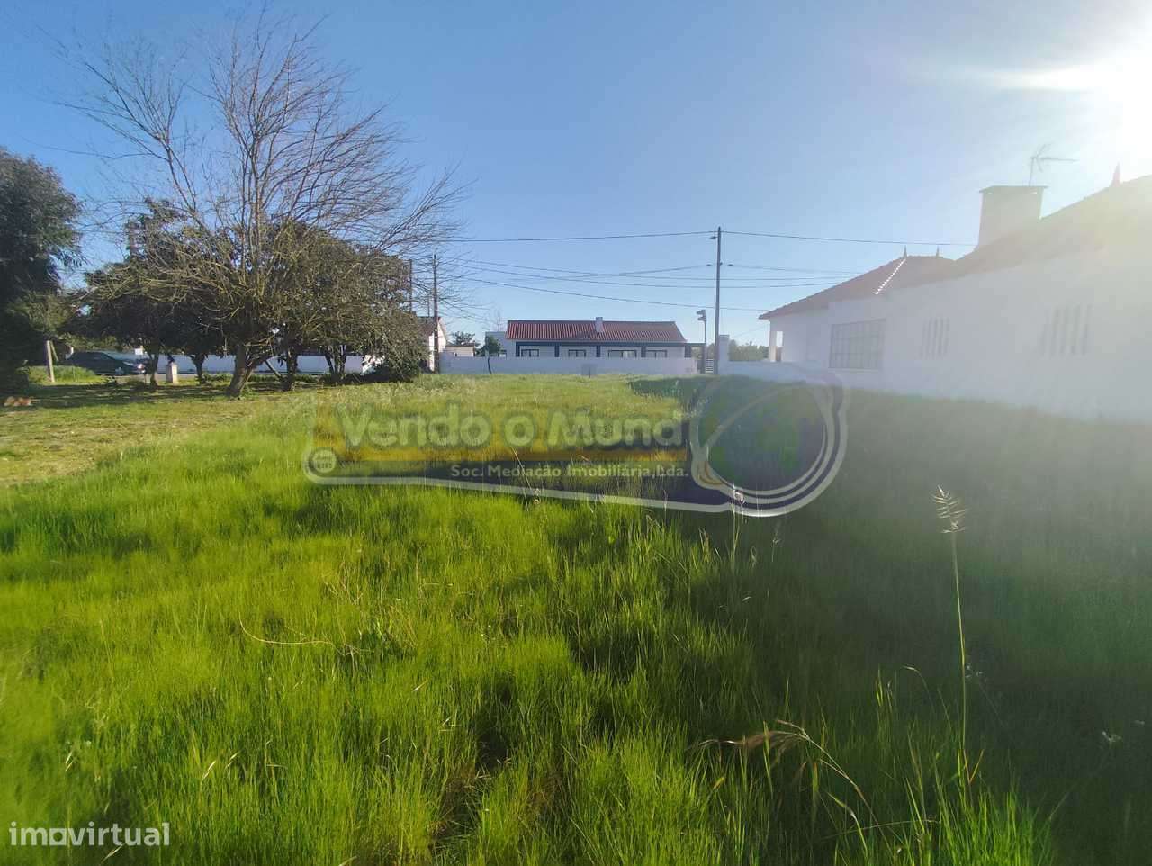 Terreno em Marinhais (M808) - Grande imagem: 5/5