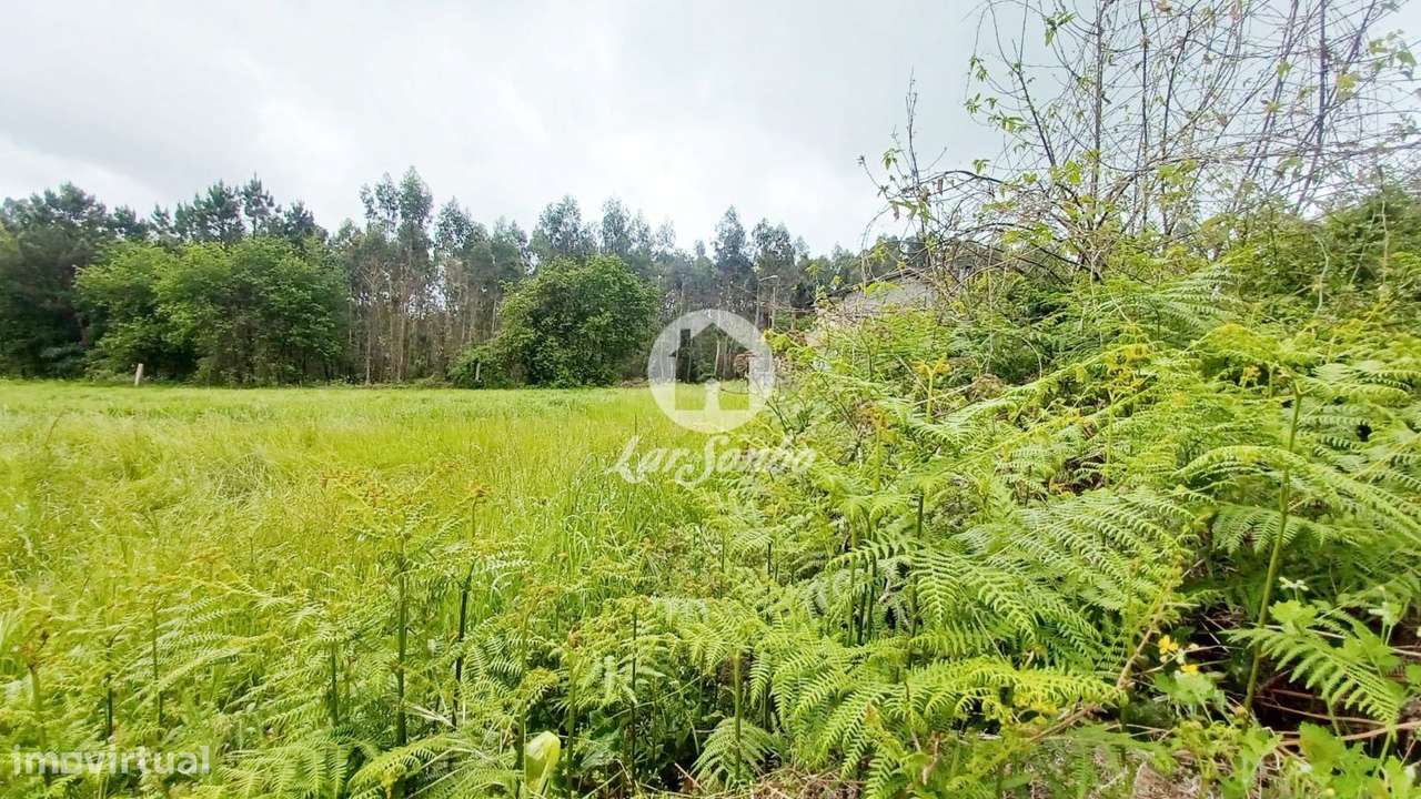 Terreno de 2.500m2 e 58m frente para construção de Moradias em S. P... - Grande imagem: 5/16