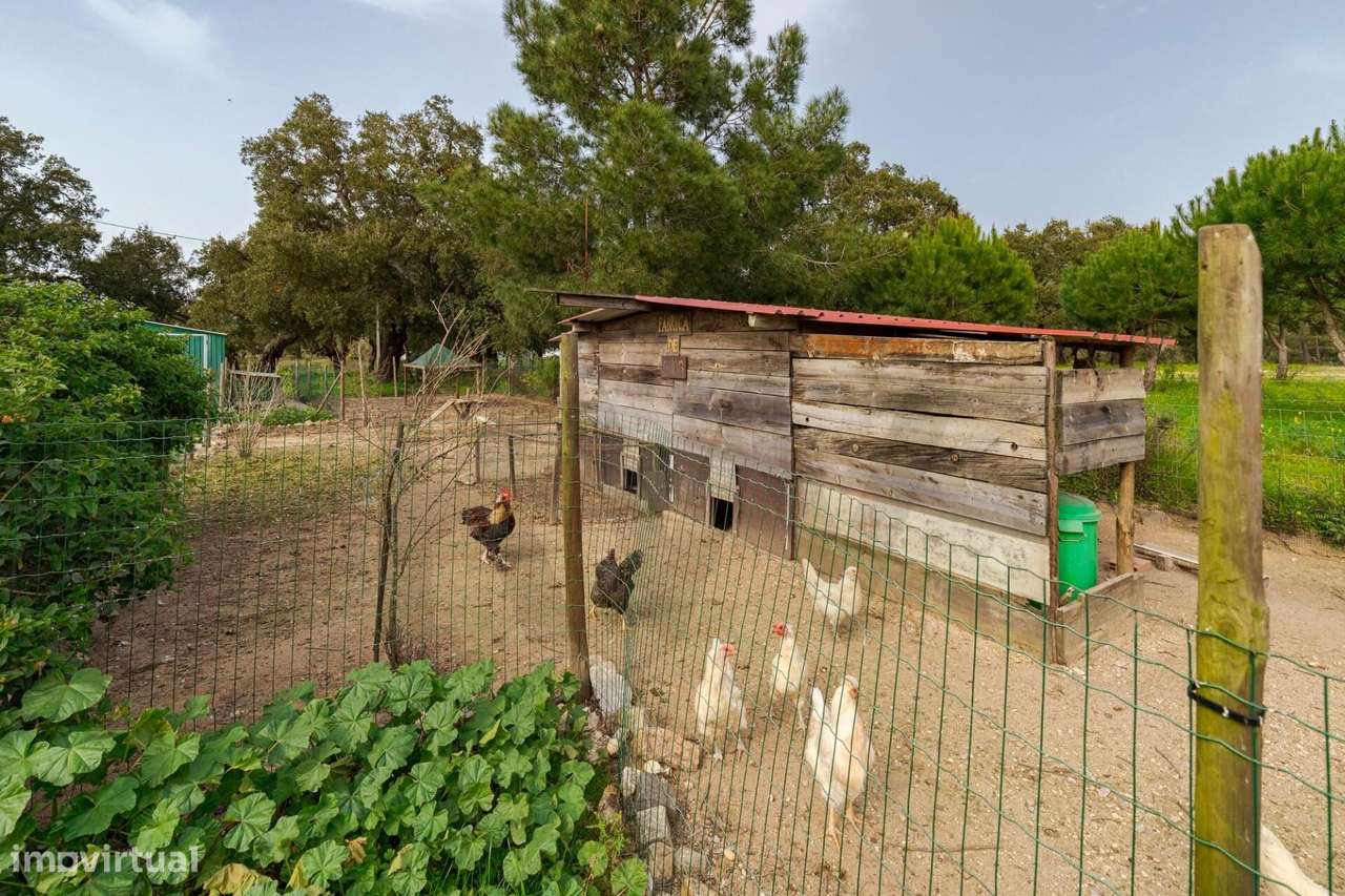 Monte Alentejano de Charme com 4 quartos | 1,3 ha | Litoral Alentejano-29