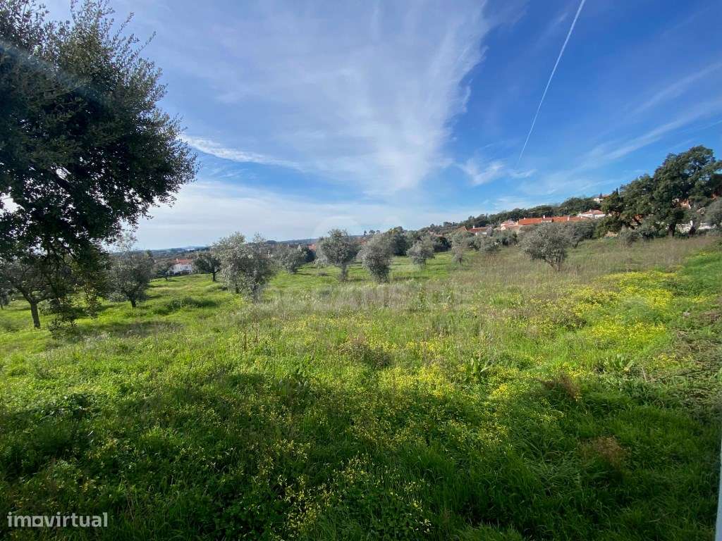 Moradia independente com 500 m2 área bruta-23