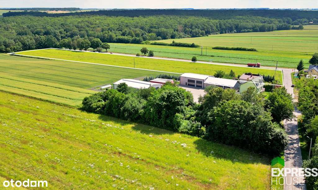 Działka, inwestycja, 2,17ha, rm/U, rolna - Pełny obrazek: 5/7