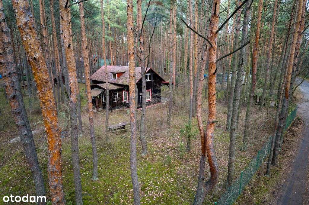 Sprzedaż/działka z Mpzp/1900 m2/Łosie- Radzymin - Pełny obrazek: 5/16