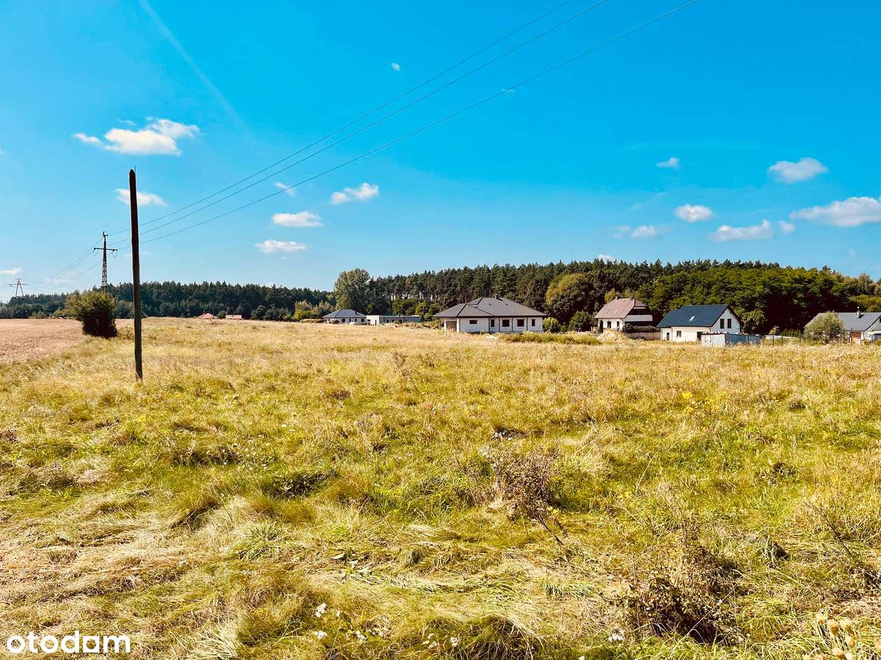 Działka na sprzedaż w spokojnej i urokliwej okolicy - Pełny obrazek: 4/6