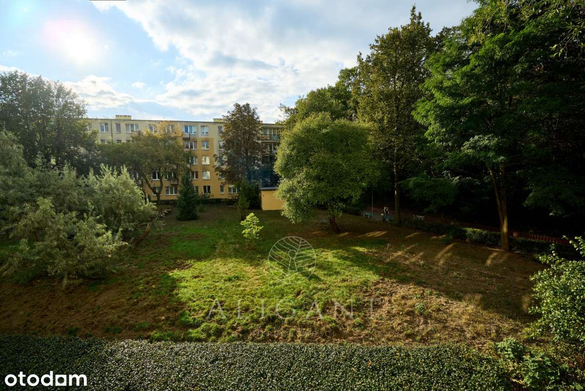 2 pokoje *Świetny układ *Blisko lasu *Do aranżacji-15