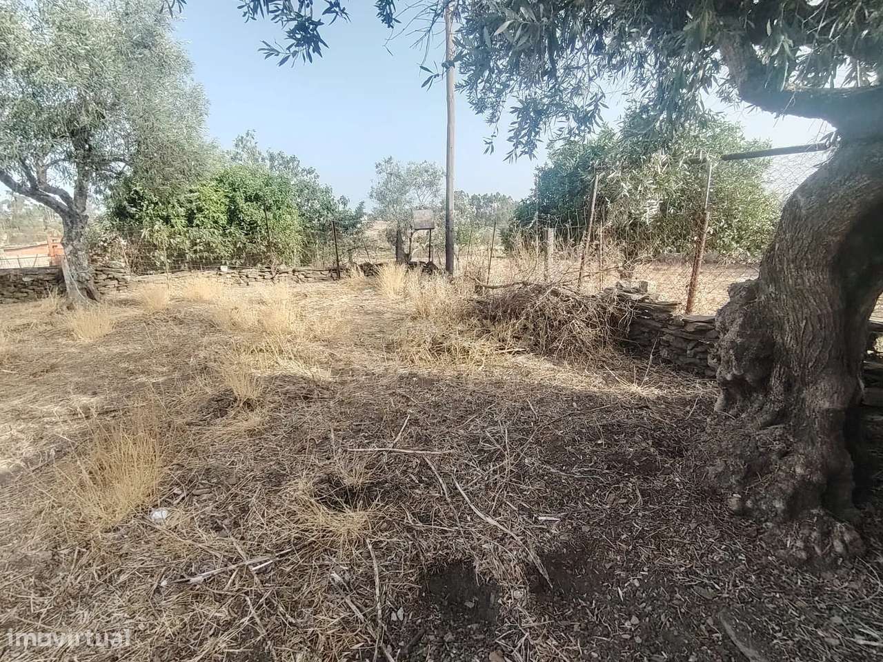 Oportunidade de negócio em Sarnadas de Rodão, Vila Velha de Ródão-11