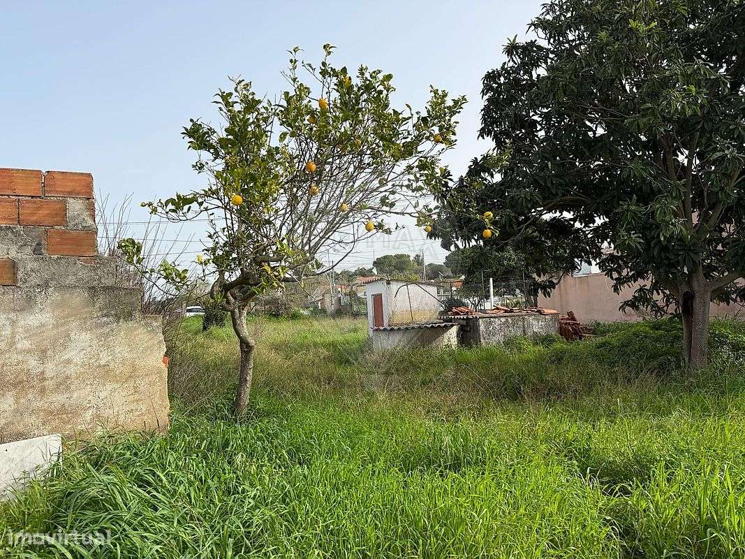 Terreno  para venda-7