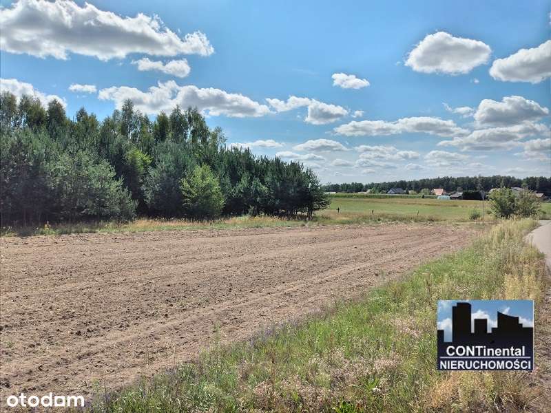 Działka rolna z ponadstuletnim lasem 1,09ha - Pełny obrazek: 4/4