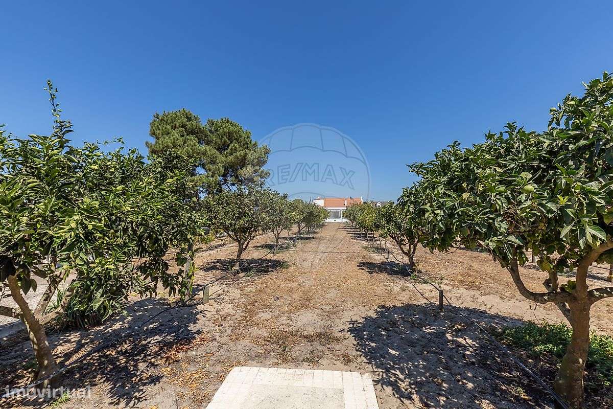 Quinta  para venda-11