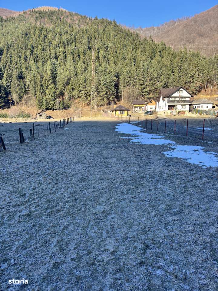 Teren de exceptie in Rucar, aproape de Brasov – intimitate, natura s-0