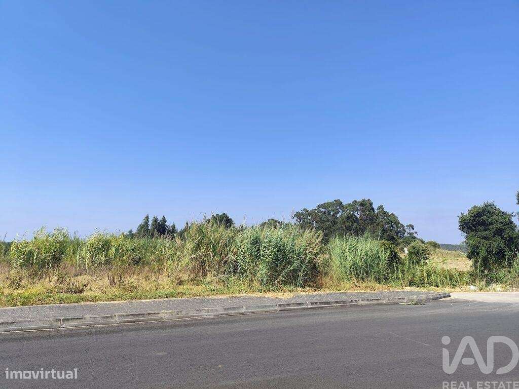 Terreno em Cadaval e Pêro Moniz de 4310,00 m2 - Grande imagem: 5/30