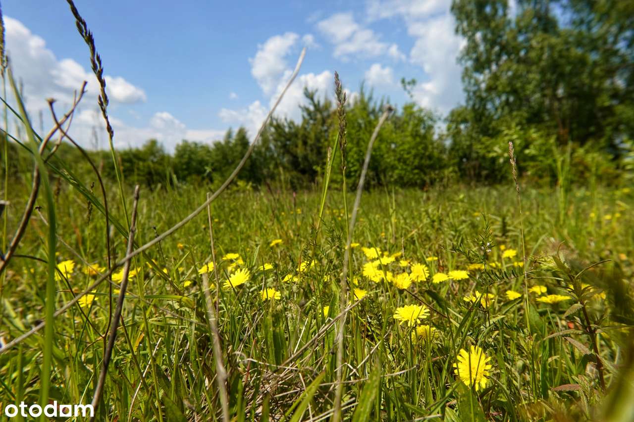 Działka dla miłośników natury-3