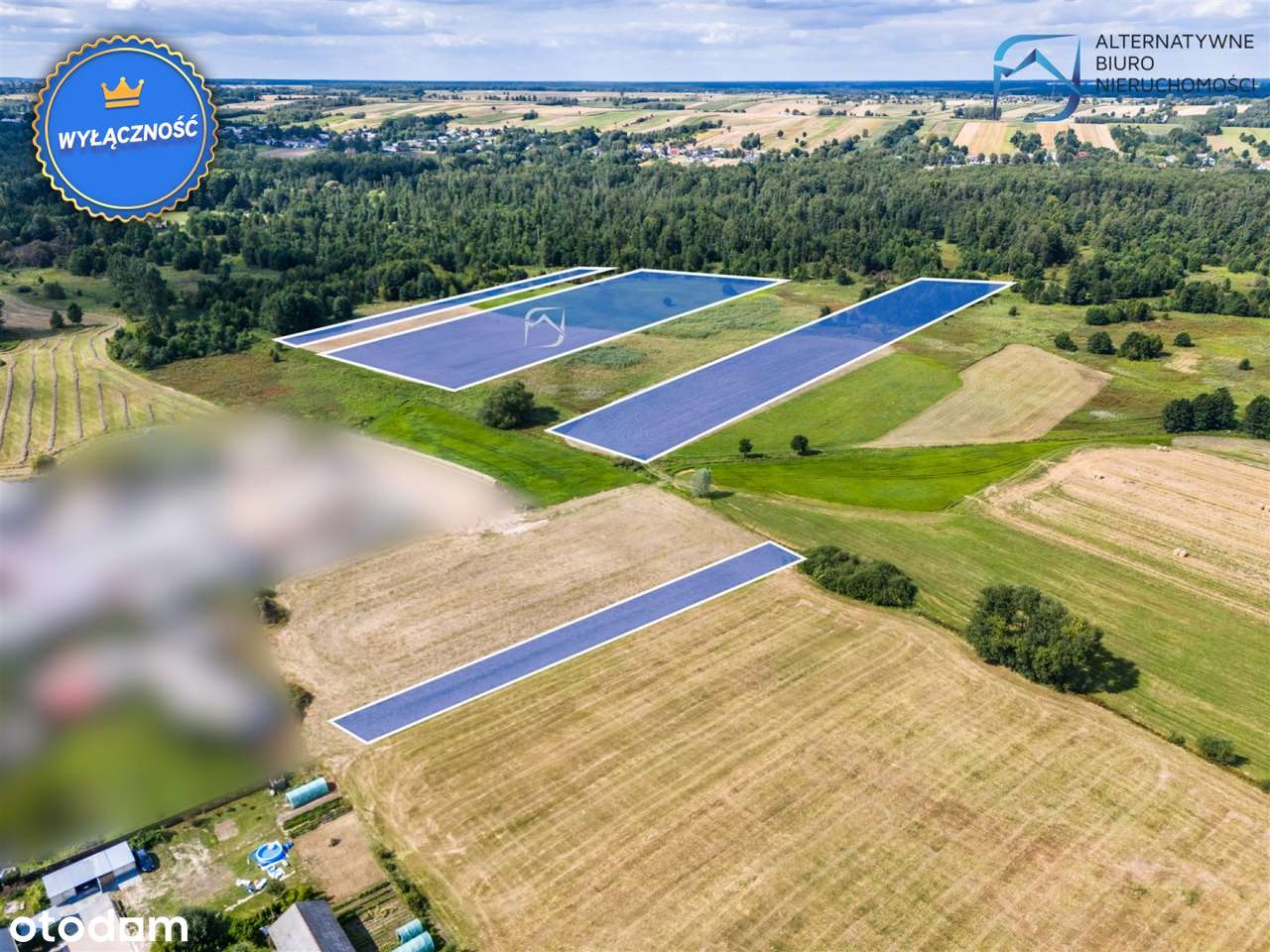 Piękne łąki na sprzedaż- Drążgów - Pełny obrazek: 5/8