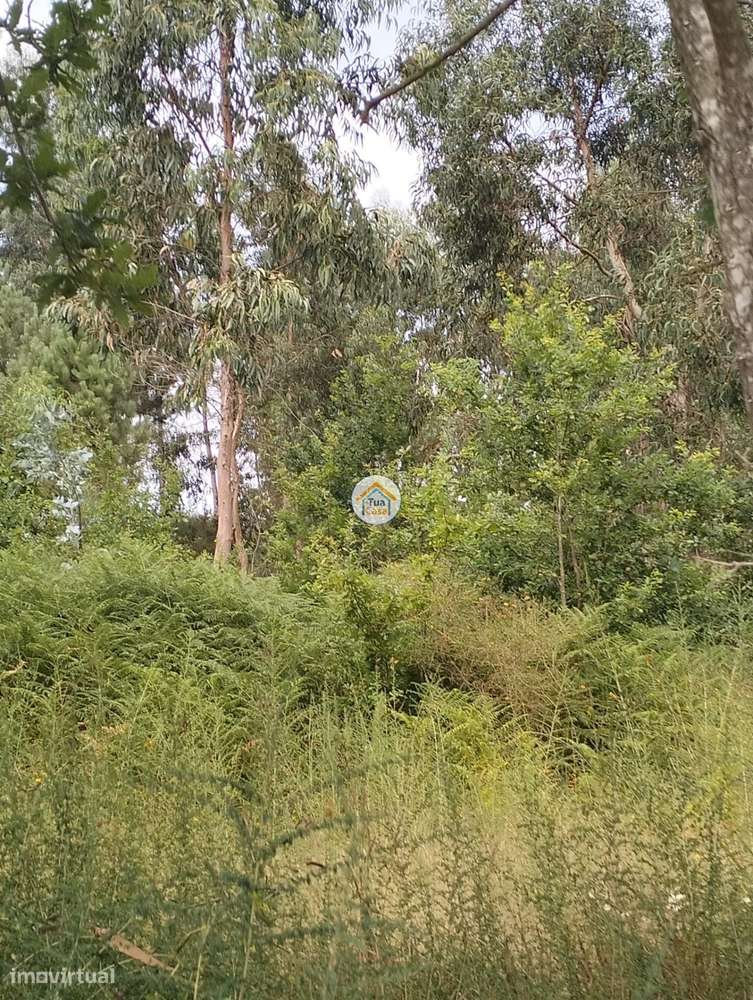 Oportunidade Única em Maninho – Lousada - Grande imagem: 5/6