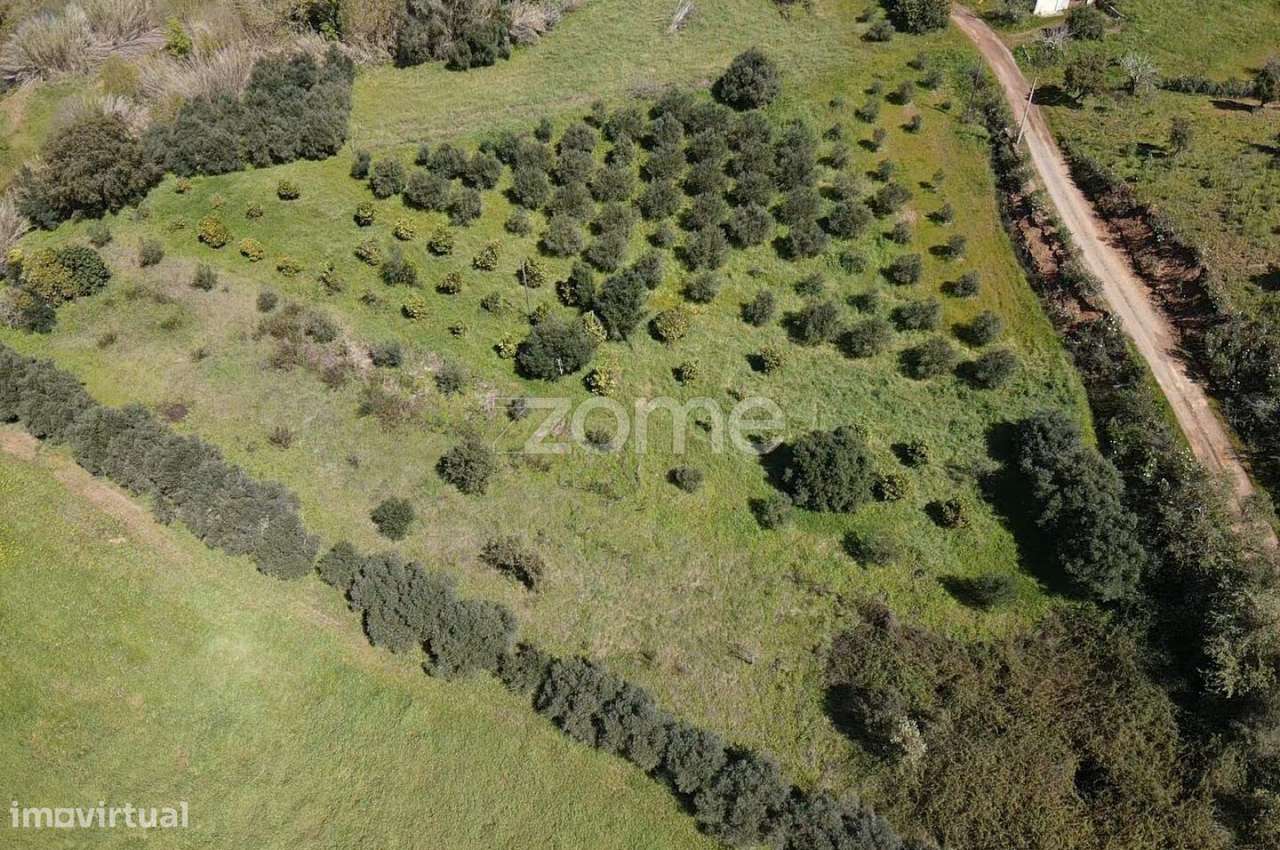 Terreno Rústico com 760m2 em Ribeira de Arade, Messines - Grande imagem: 3/15