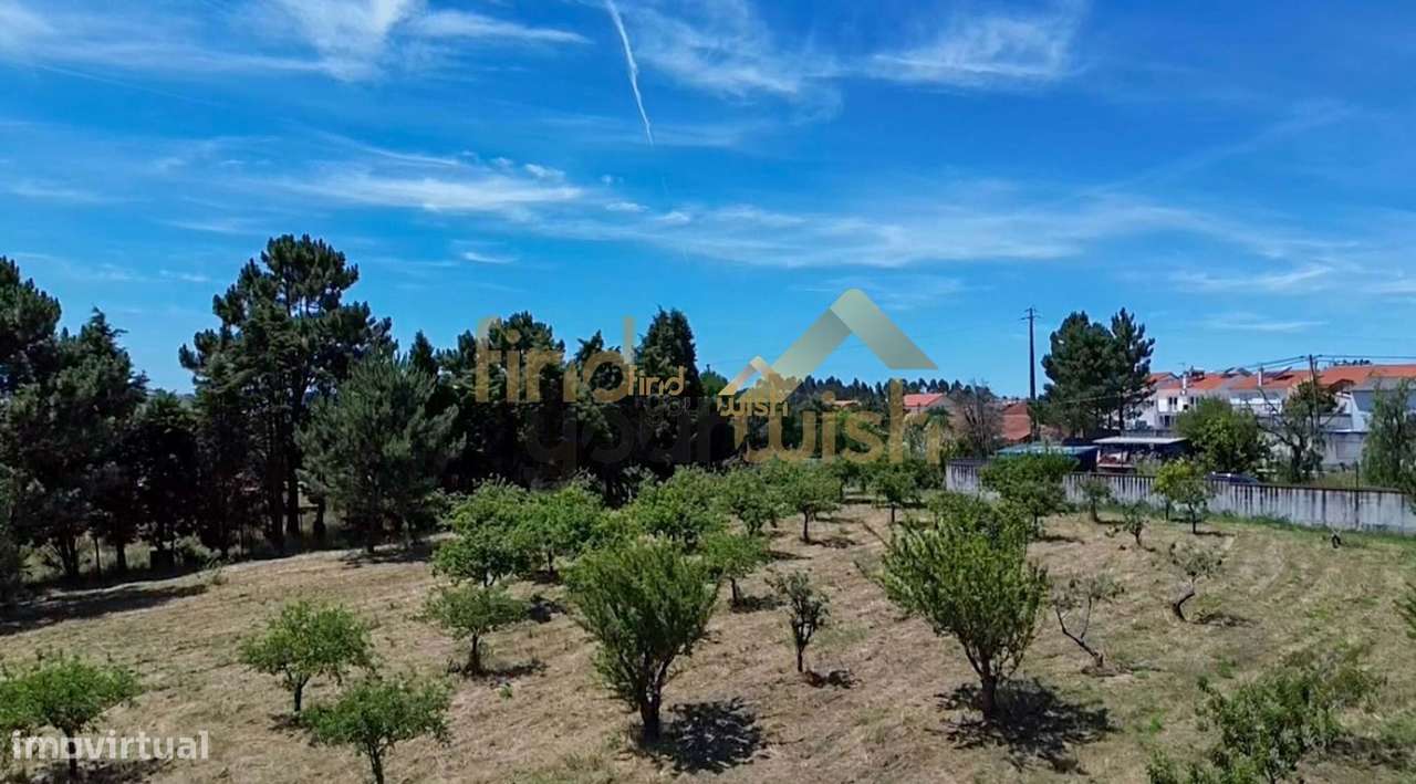 Moradia campestre T3 com 6500 m2 de terreno-43