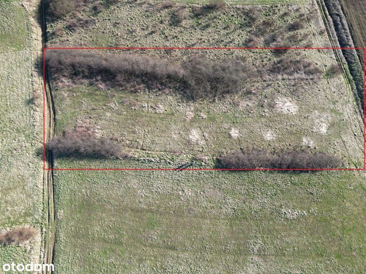 Super Widokowa  Cena do negocjacji. - Pełny obrazek: 2/8