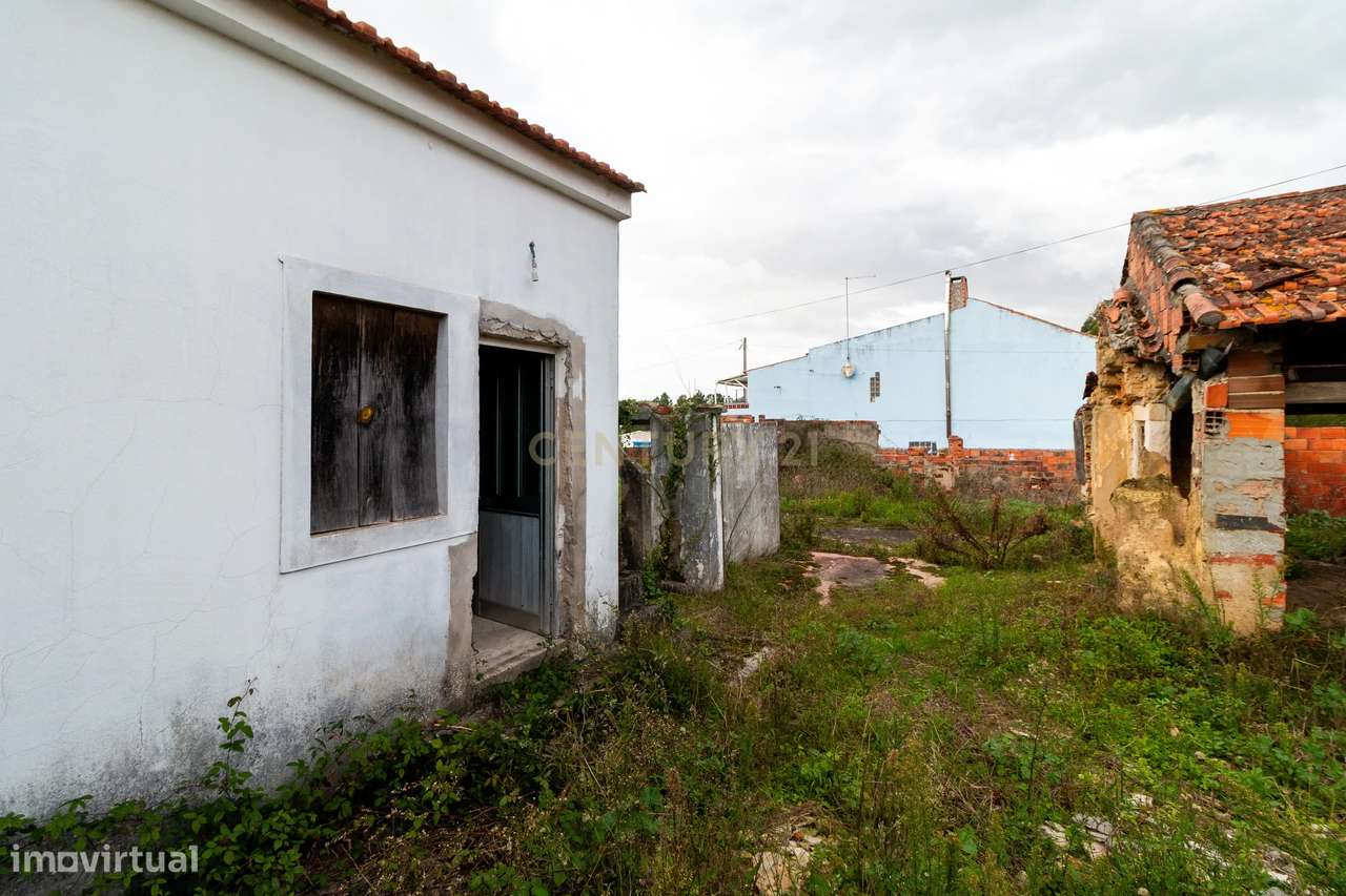 Moradia  independente  com 6500m2 em Alcobaça - Grande imagem: 5/23