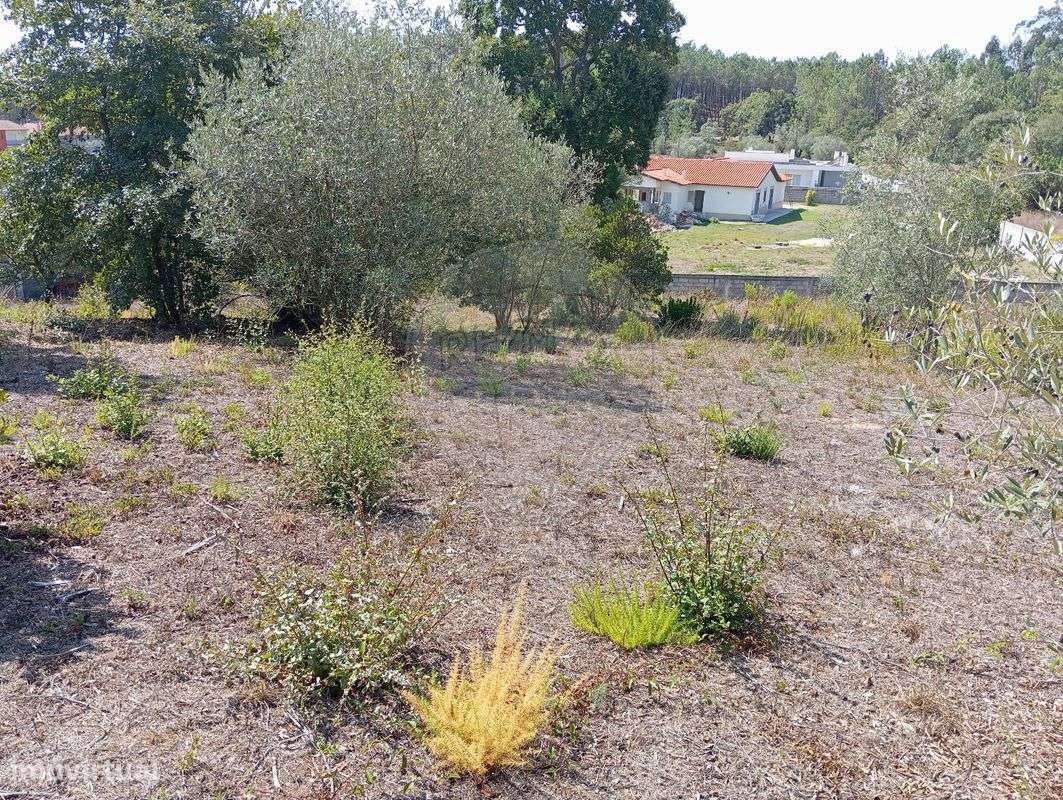 Terreno  para venda - Grande imagem: 2/5