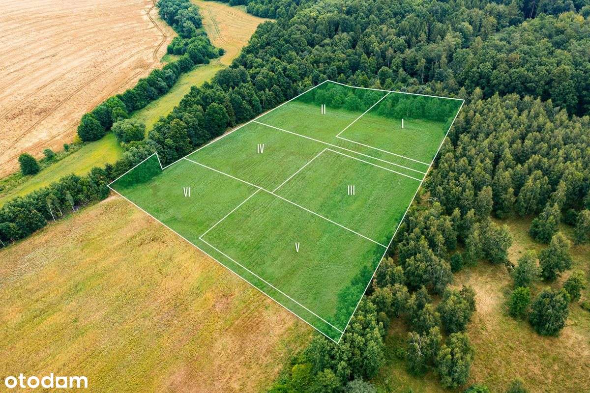 Działki rolne w Rząśniku, gm. Świerzawa, widok gór-4