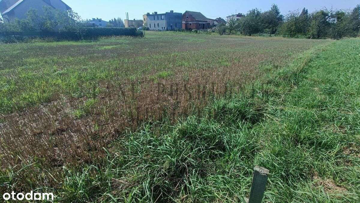 Działka Gorzyce - Osiny w sąsiedztwie lasu.-10