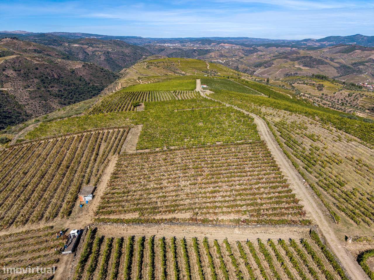VINHA À VENDA EM MURÇA – REGIÃO DEMARCADA DO DOURO-19