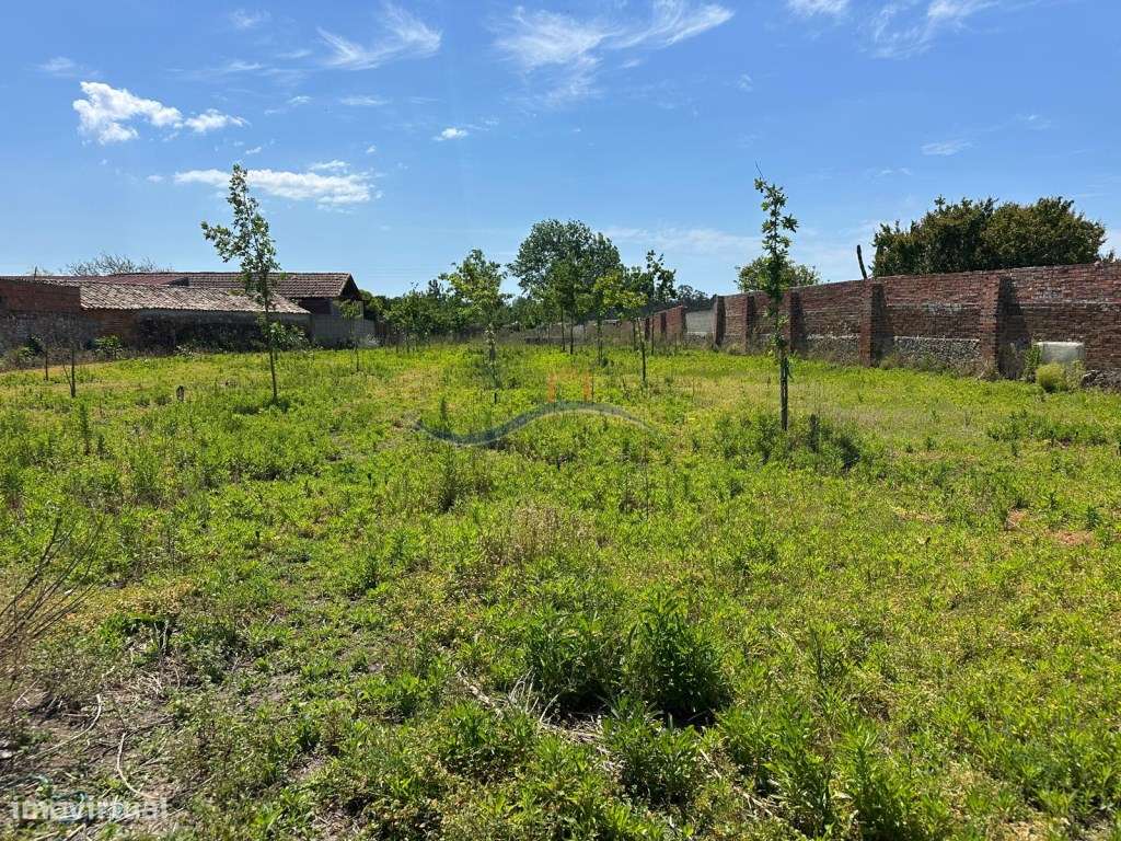 Terreno - Granja, Monte Real - Grande imagem: 2/15