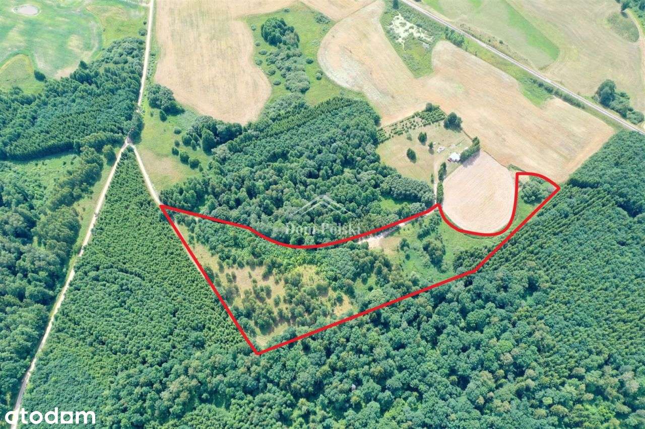 Działka 2,2 ha - Lipkowo - 5km od Olecka - Pełny obrazek: 4/17