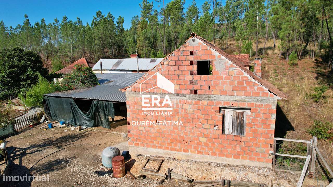 Moradia T3 implantada num terreno com 3.855m2 em Casal Domingos João-24