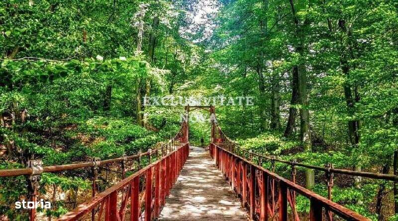 0% Vanzare teren si constructie Locatie de exceptie Calimanesti Calea-2