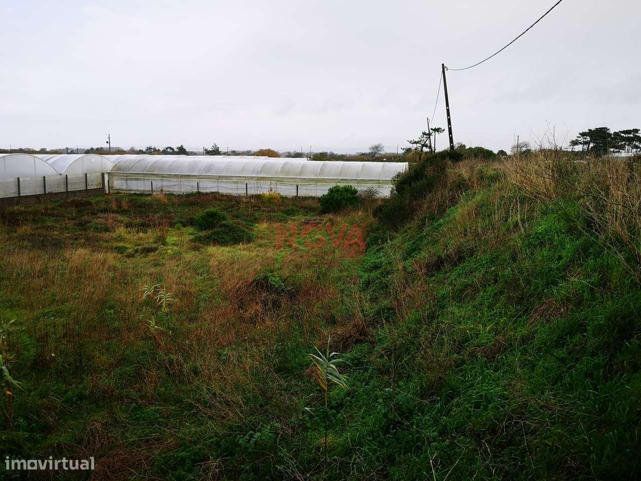 Terreno rustico na Estela | NOVA Imobiliária - Grande imagem: 5/5