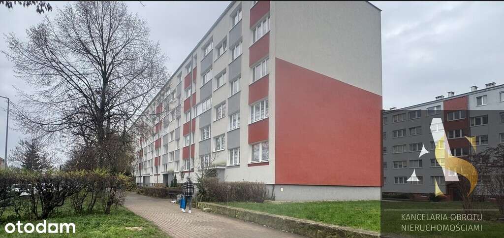 2 pokojowe mieszkanie z niskim czynszem - Pełny obrazek: 1/10