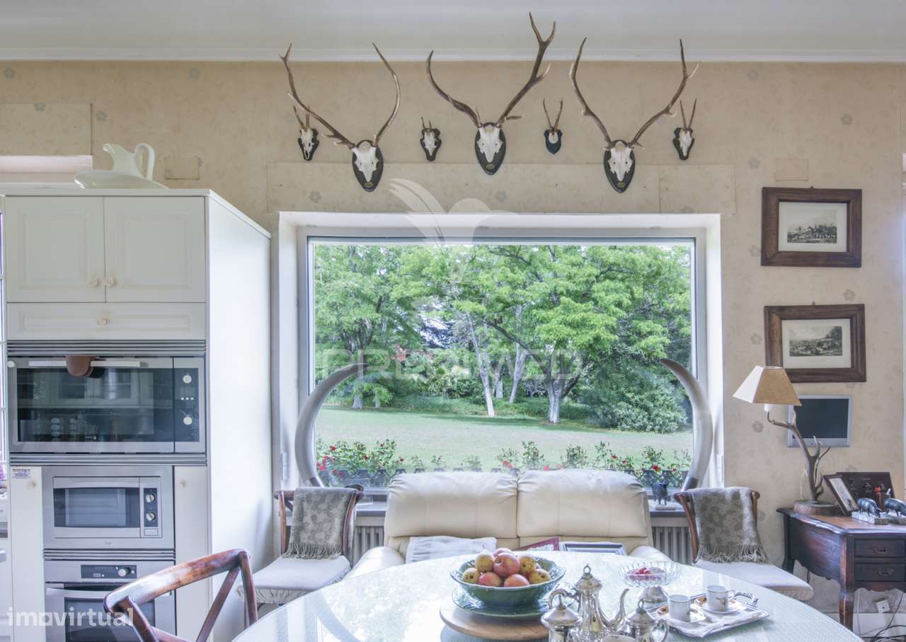 Palácio Histórico com Jardim Botânico e Instalações Hípicas — Elvas... - Grande imagem: 4/36