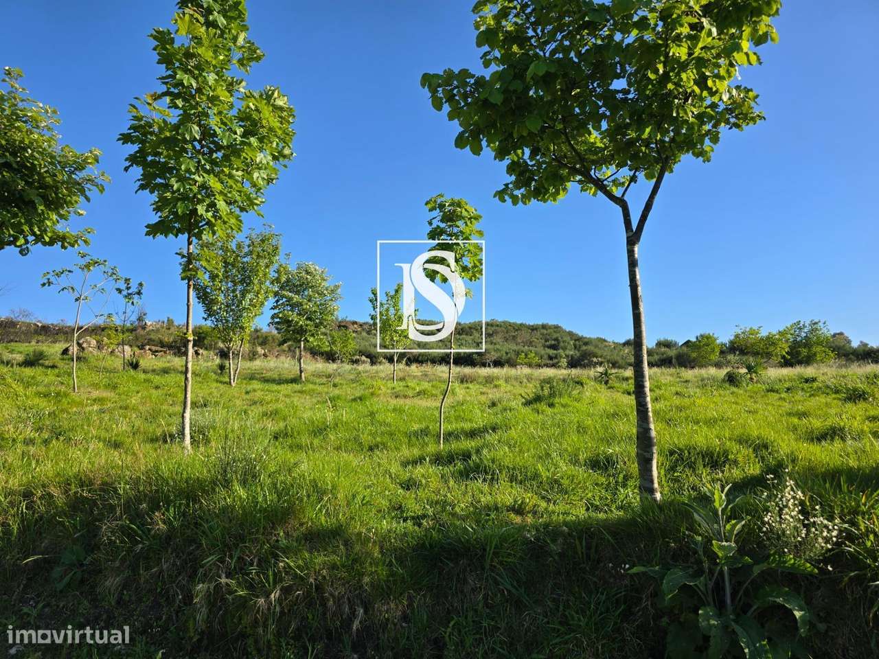 MORADIA T1 RENOVADA COM 10.000 m² – BUSTELO, AMARANTE-25